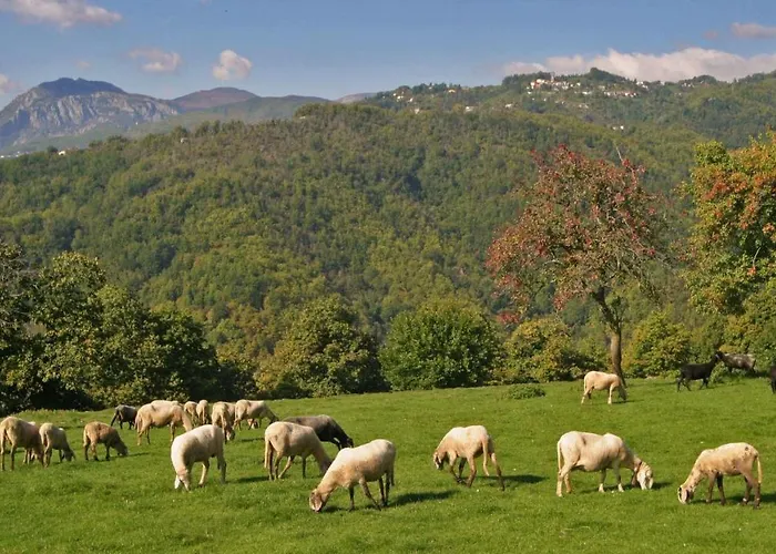 L'ormasso * Pieve Fosciana